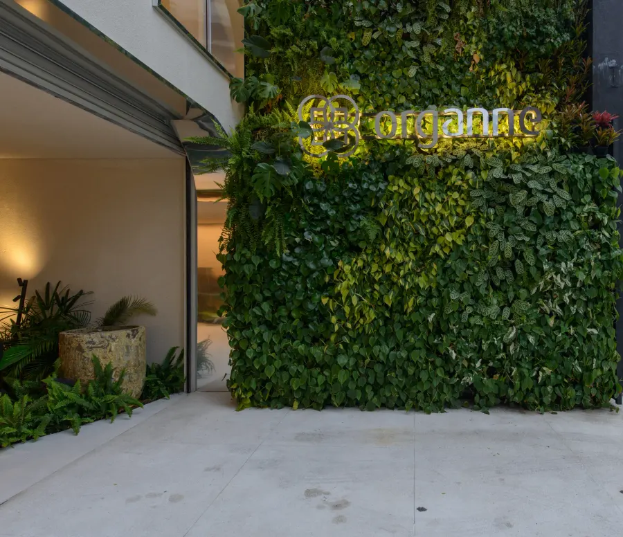 Casa Organne — projeto de iluminação da WeLight, foto 22