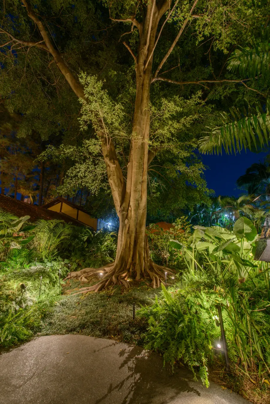 Casacor SP 2025 — projeto de iluminação da WeLight, foto 19