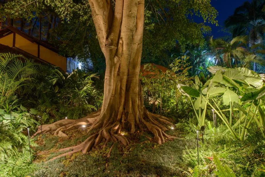 Casacor SP 2025 — projeto de iluminação da WeLight, foto 22